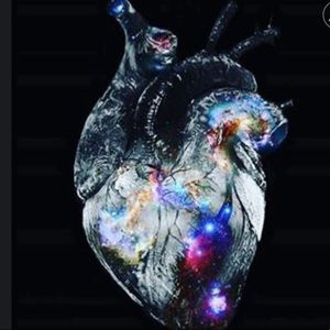 Meet your Posher, Bee